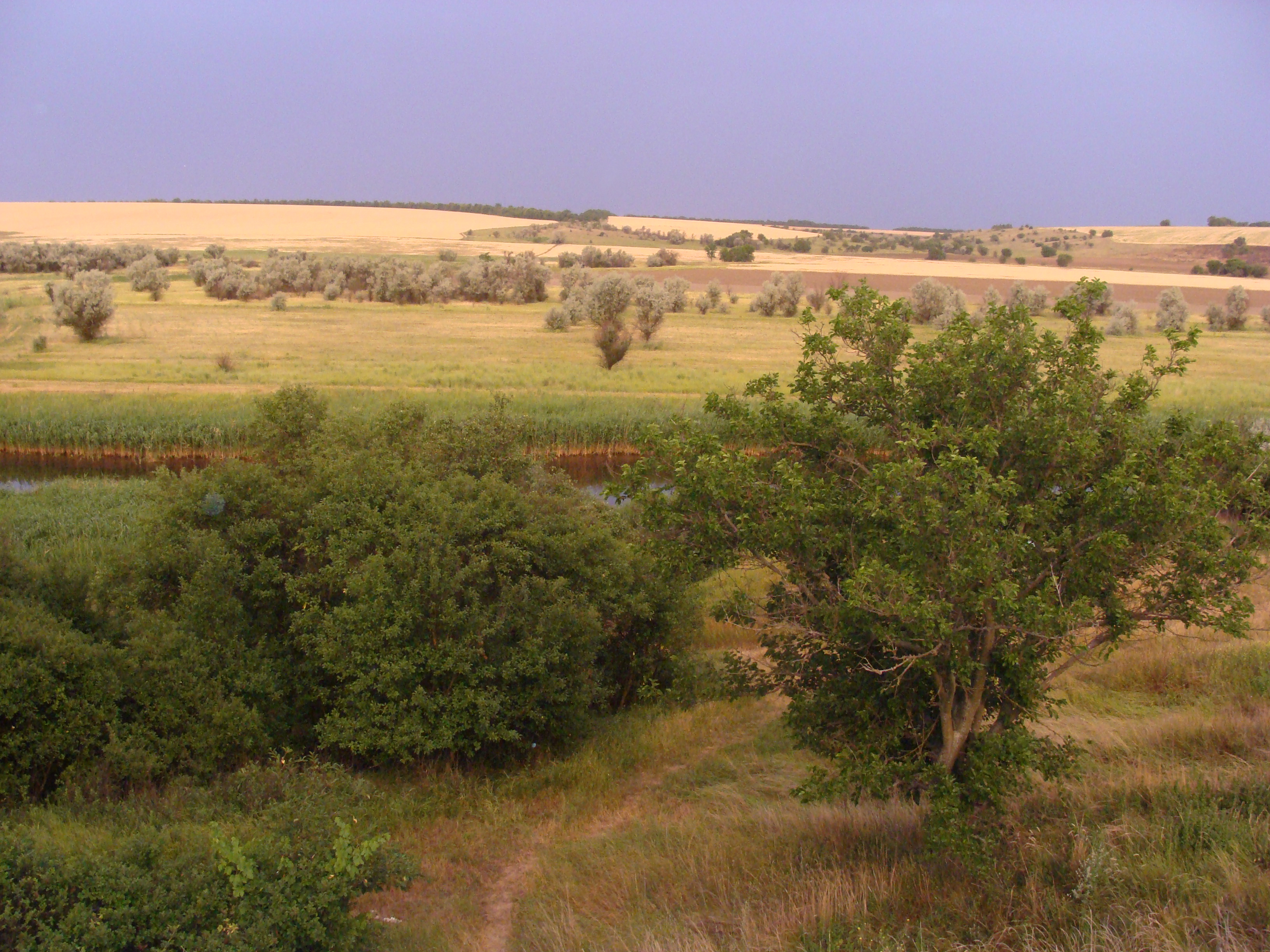 Vyelpolyan Steppe
